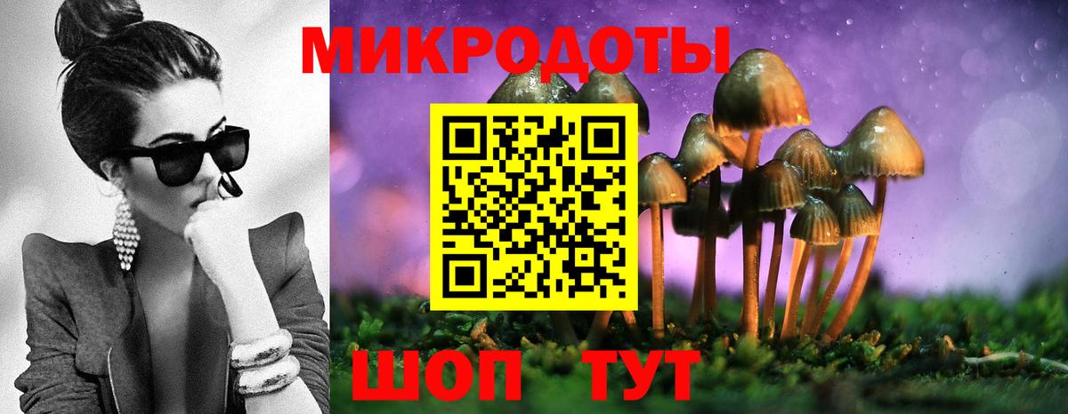 Псилоцибиновые грибы мицелий  Вход с VPN  Касимов 